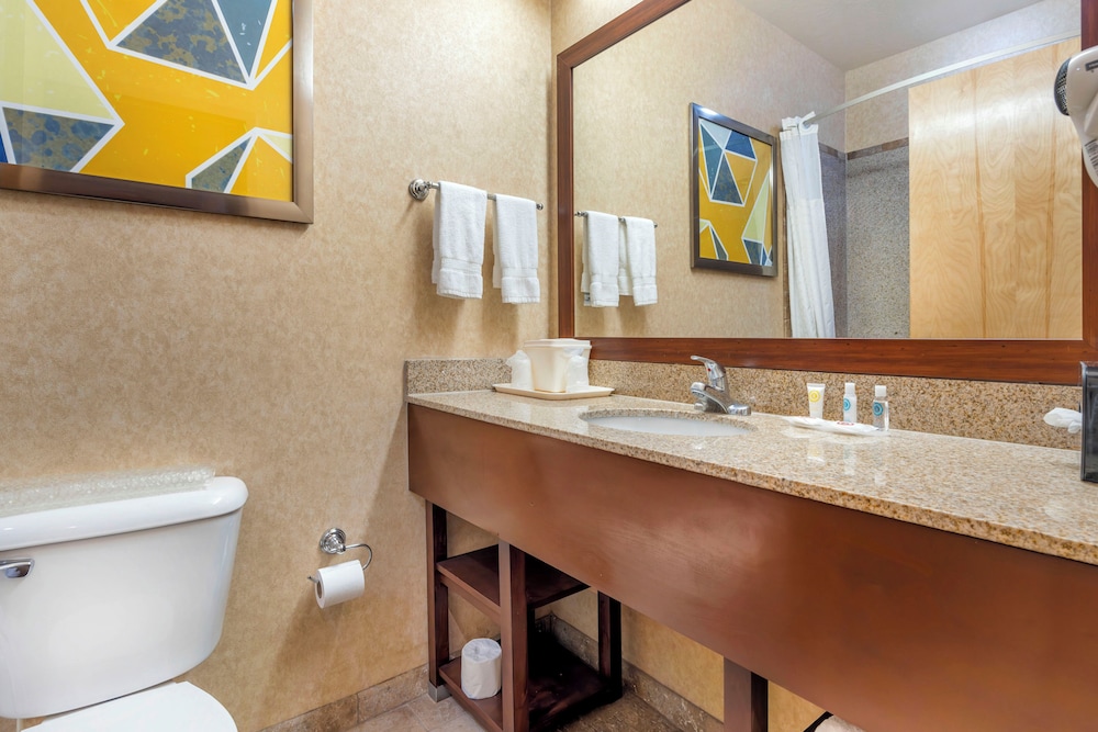 Suite, 1 King Bed, Accessible, Non Smoking - Photo 3