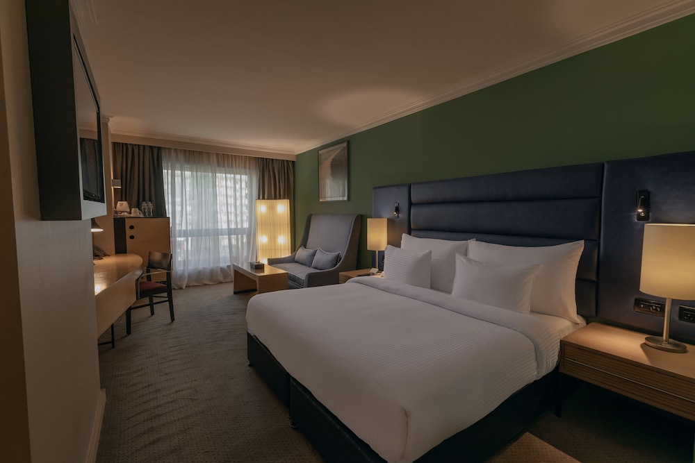 Executive Room with Lounge access - Photo 8