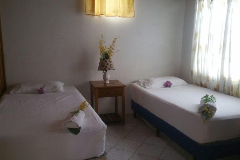 Basic Single Room, 2 Twin Beds photo 1