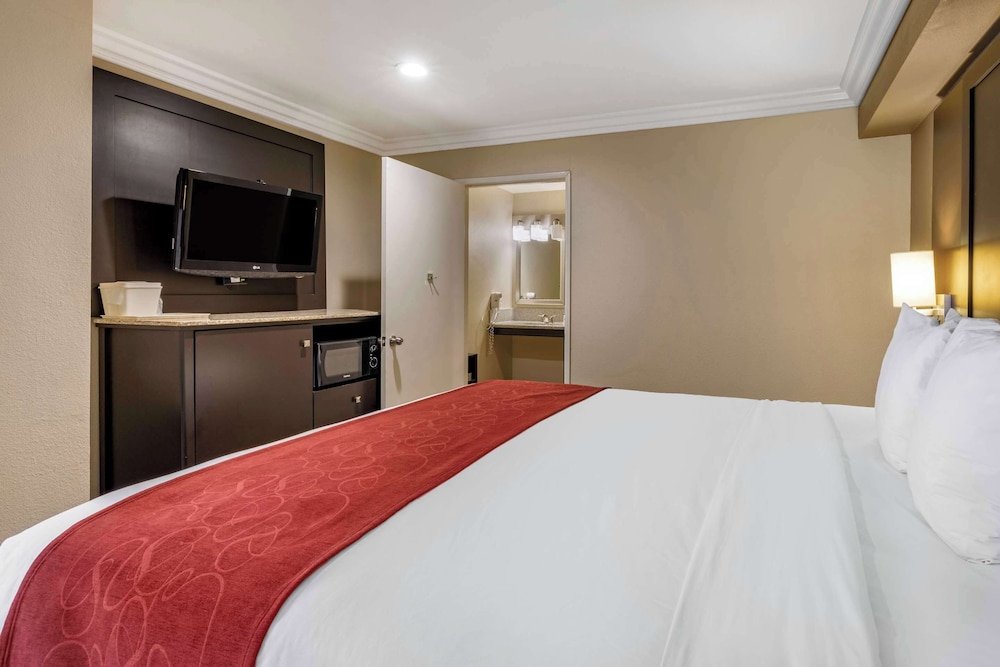 Suite, 1 King Bed with Sofabed, Accessible Roll-In Shower, Non Smoking - Photo 7