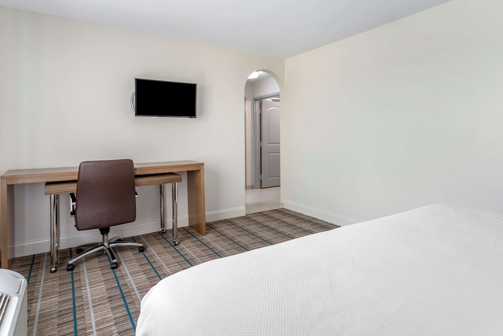 Suite, 1 King Bed with Sofa bed, Non Smoking (Efficiency) - Photo 3