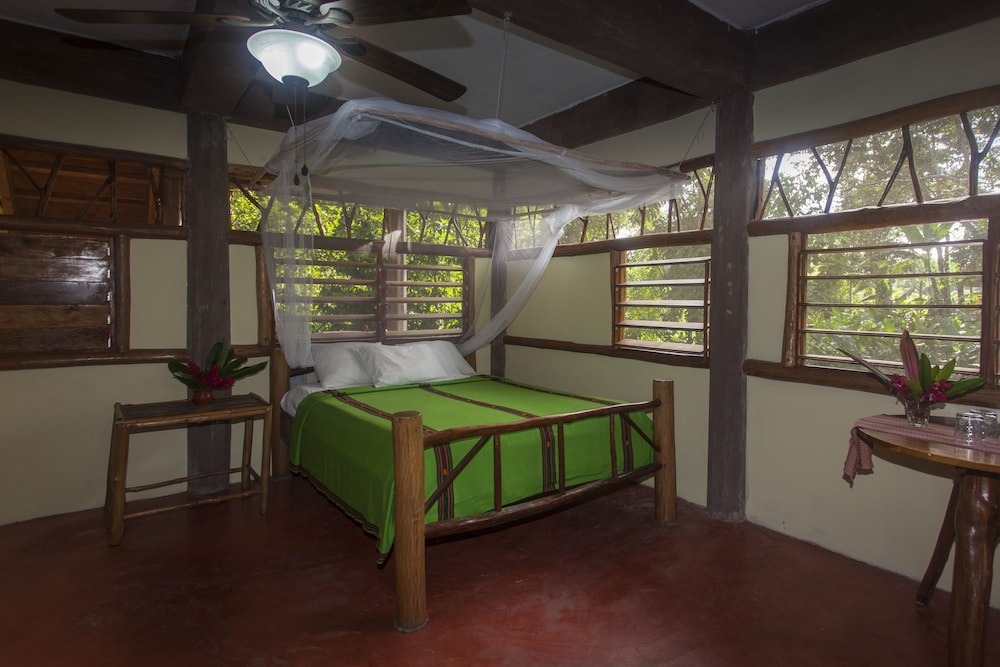Premium Room, 1 Bedroom, Garden View, Garden Area photo 3
