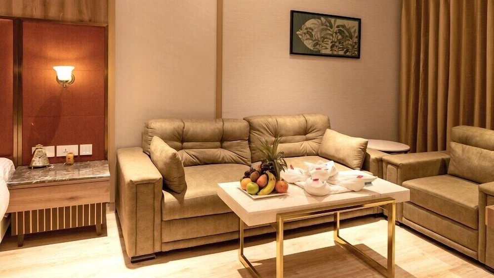 Deluxe Single Room, City View photo 3