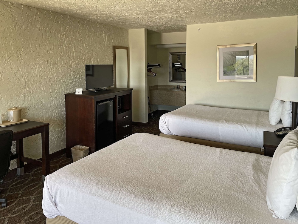 Standard Room, 2 Double Beds, Non Smoking photo 2