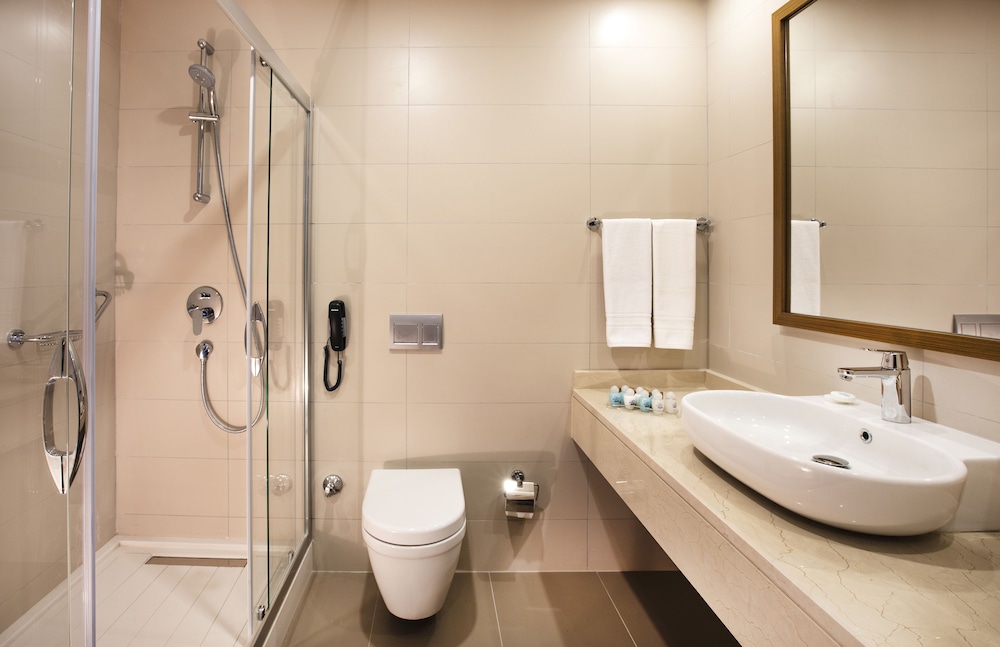 Double or Twin Room photo 3