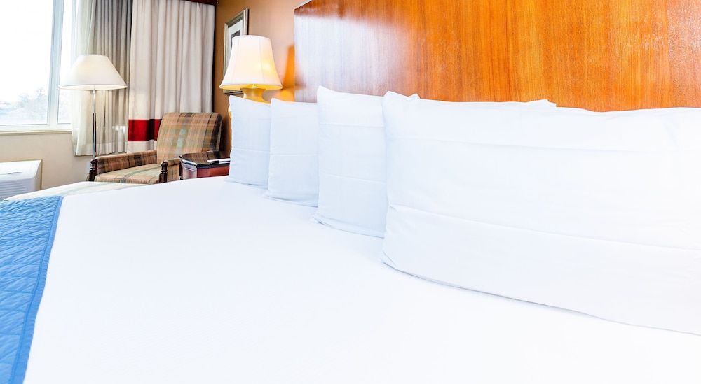 Accessible, 1 King Bed photo 3