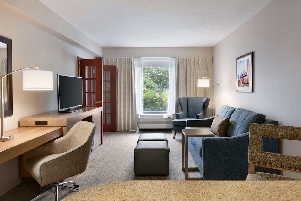 Suite, 1 King Bed - Photo 1