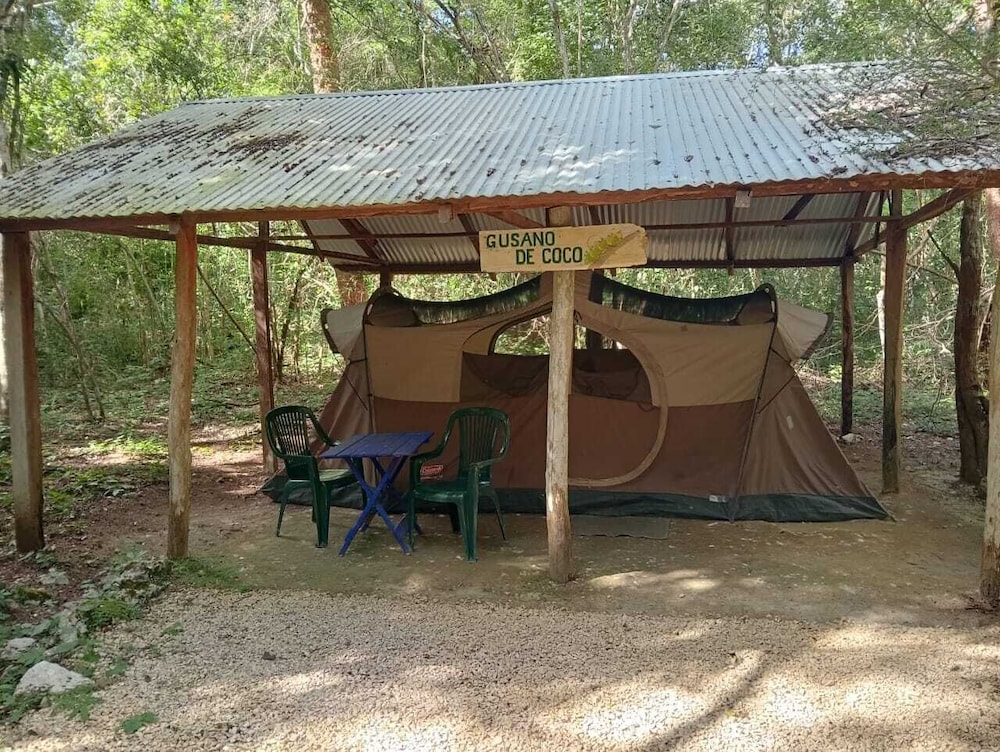 Tent, 2 Queen Beds photo 1