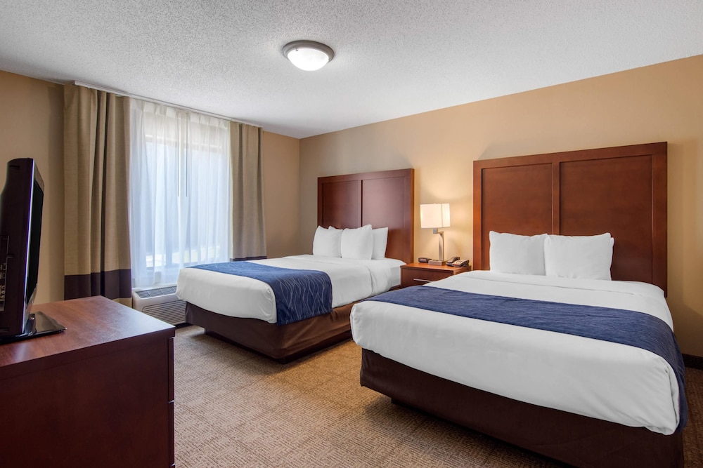 Suite, Multiple Beds, Non Smoking photo 1