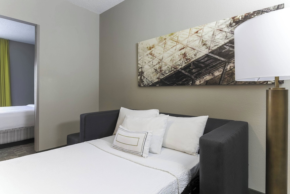 Studio Suite, 1 King Bed with Sofa bed (Mobility/Hearing Access, Roll-in Shwr)