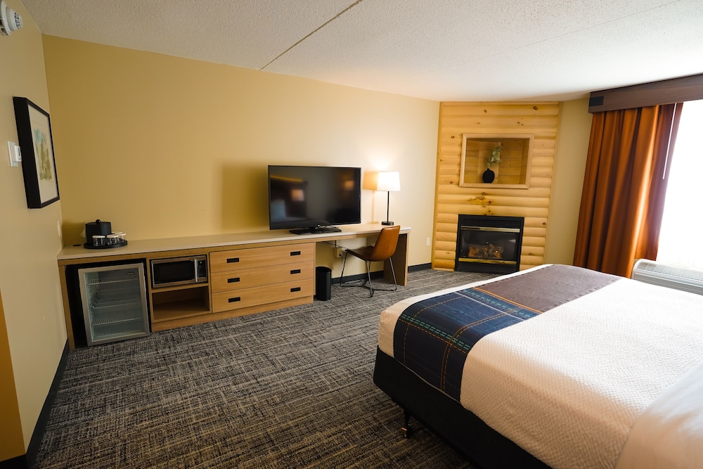 Comfort Single Room