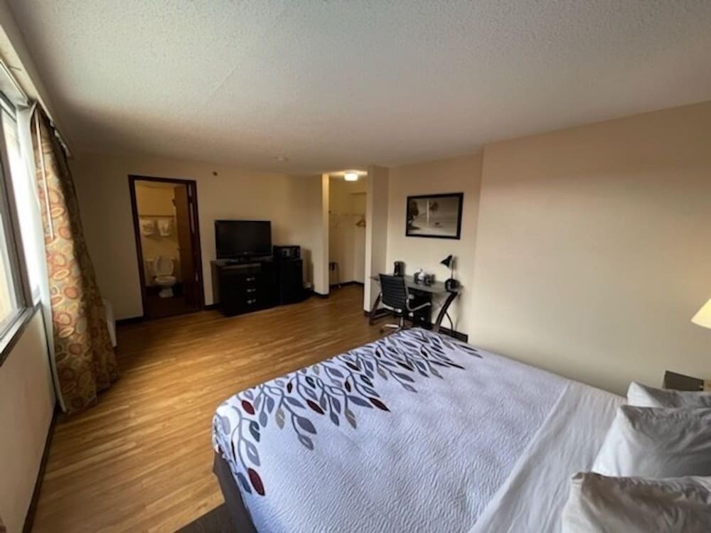 Room, 1 King Bed photo 2