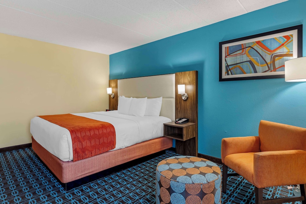 Standard Room, 1 King Bed, Accessible, Bathtub - Photo 1