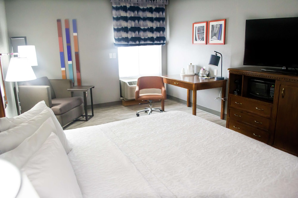 Room, 1 King Bed, Accessible, Non Smoking photo 1