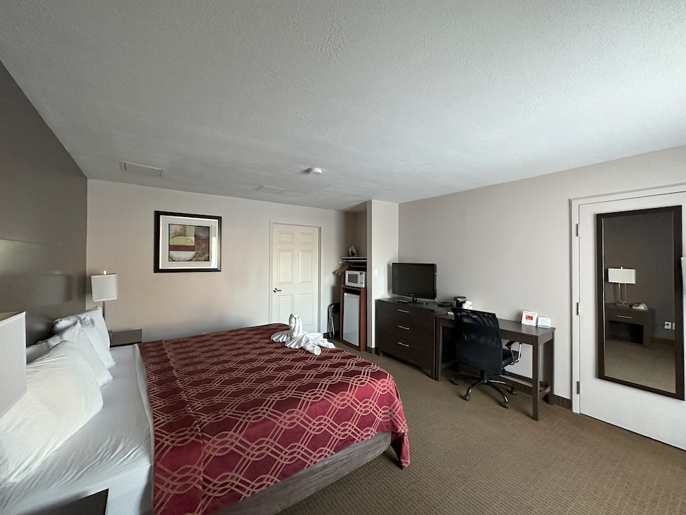 Standard Room, 1 King Bed, Non Smoking - Photo 9