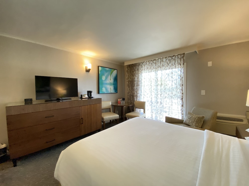Basic Room, 1 King Bed, Patio - Photo 3
