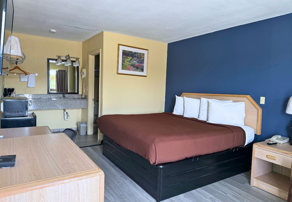 Room, 1 King Bed photo 3