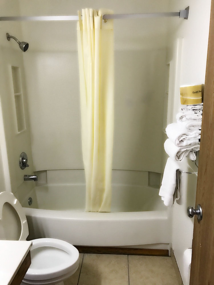 Single Room, Refrigerator & Microwave photo 2