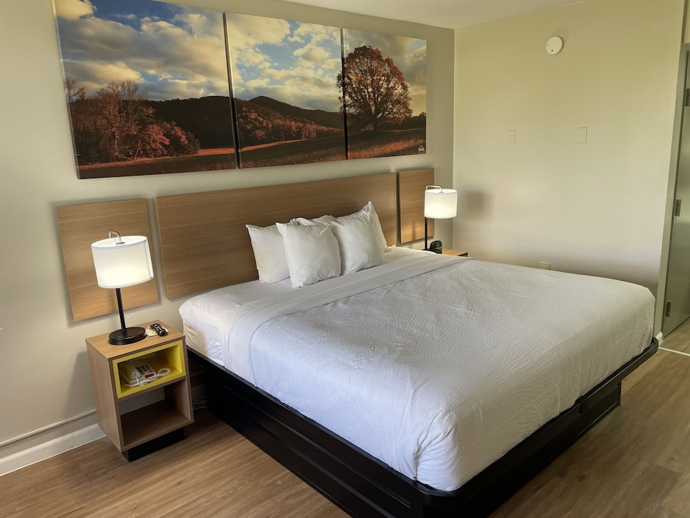 Standard Room, 1 King Bed photo 3
