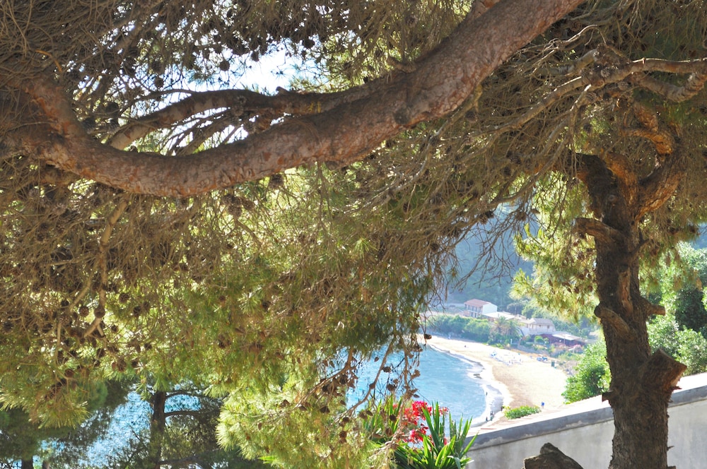 Apartment, 2 Bedrooms, Smoking, Balcony