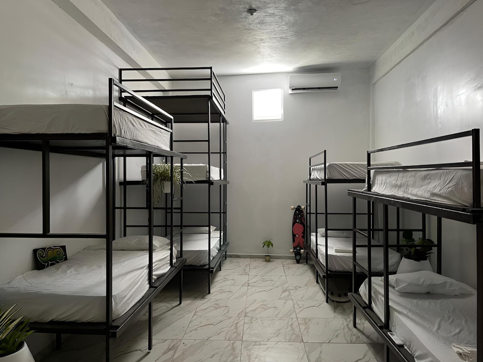 Shared Dormitory photo 2