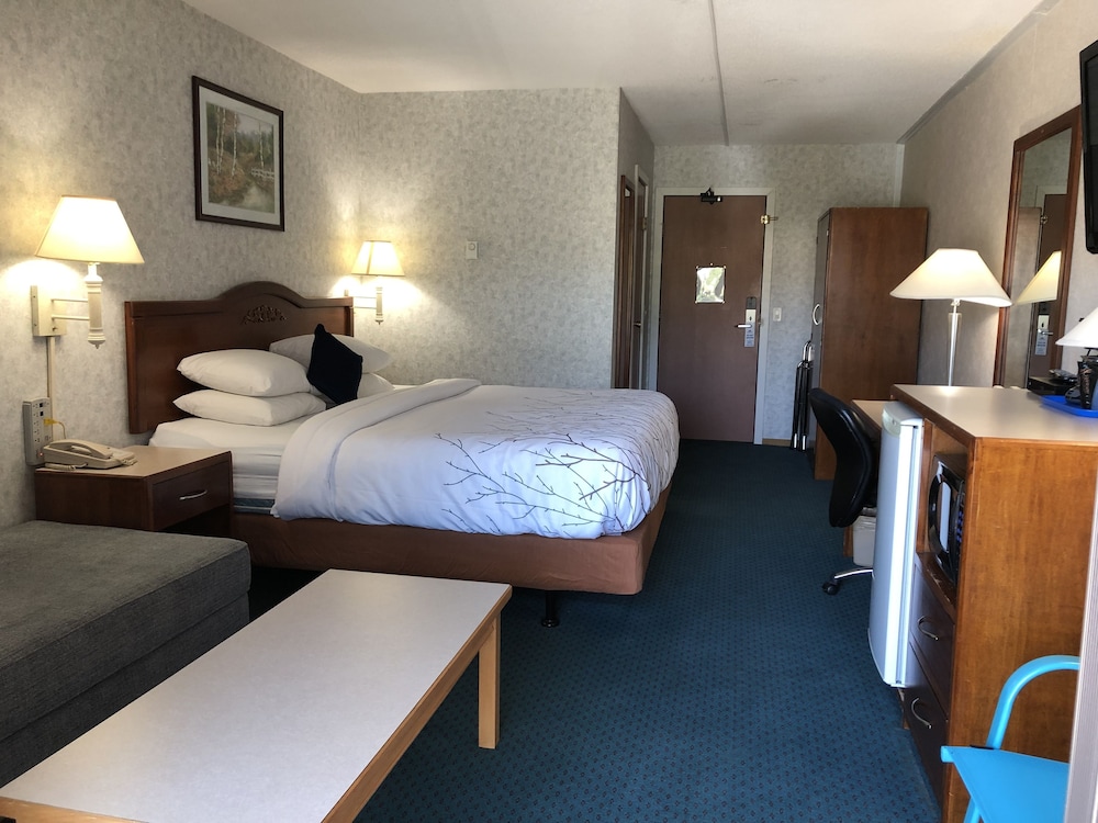 Deluxe Room, 1 King Bed, Non Smoking - Photo 12