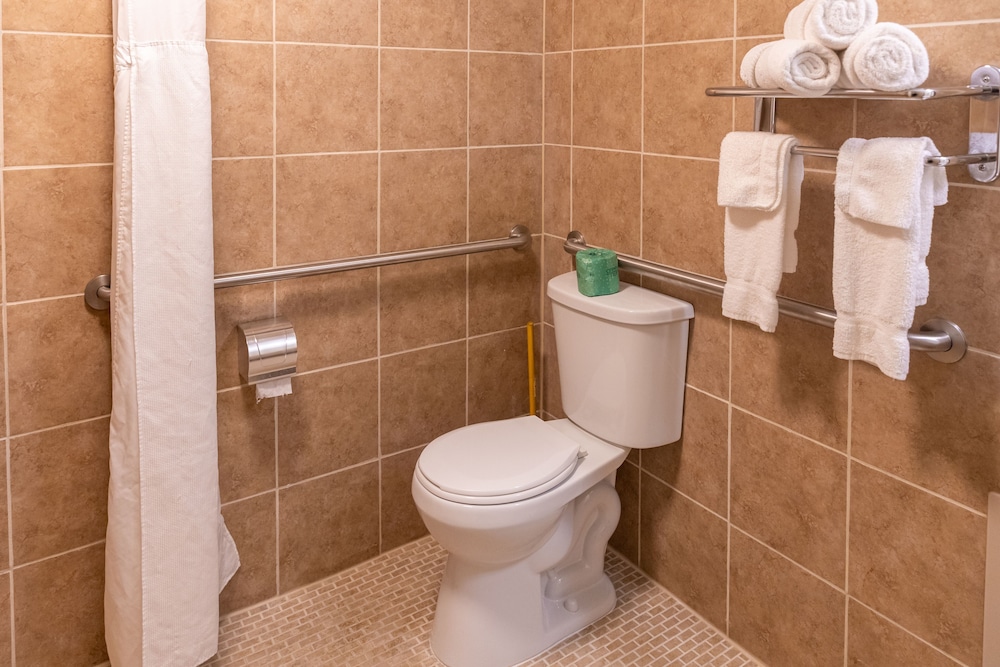 Standard King Accessible/Non-Smoking - Photo 7