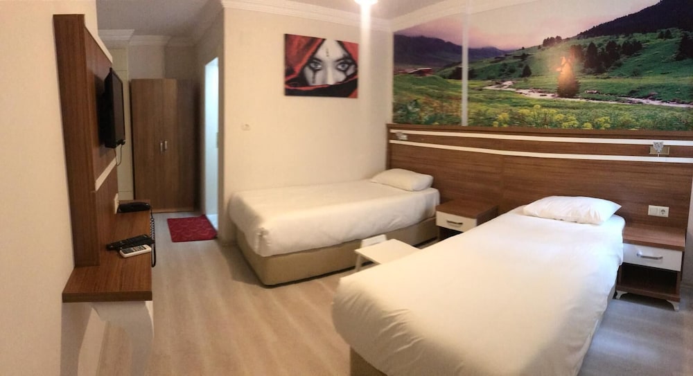 Standard Twin Room photo 2