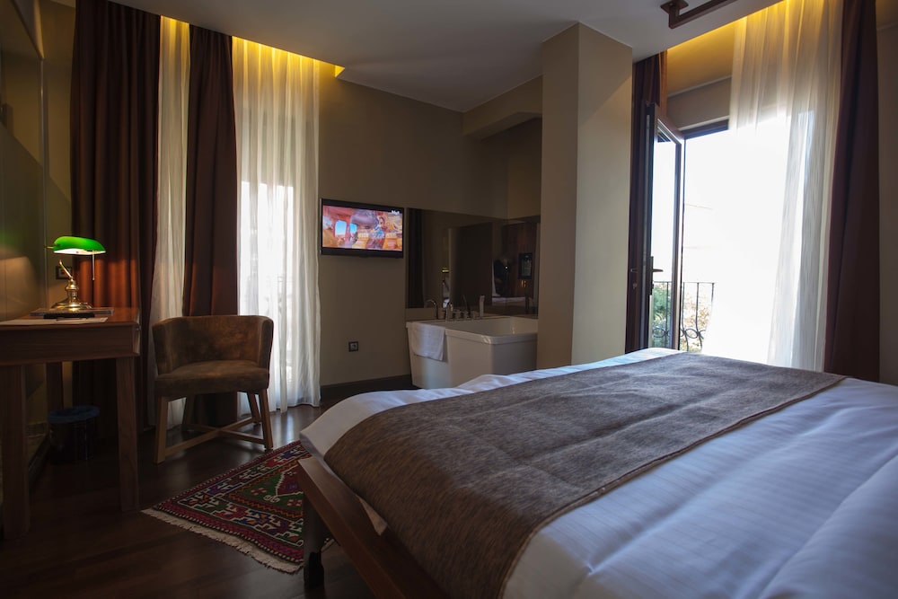 Executive Room photo 1
