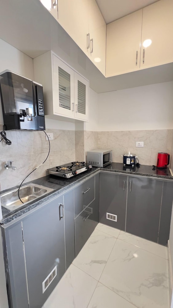 Basic Apartment
