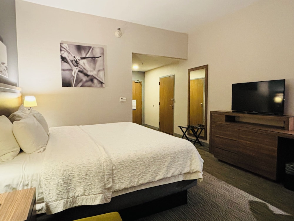 Room, 1 King Bed, Accessible, Non Smoking (Roll-In Shower) - Photo 2