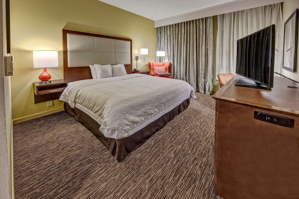 Room, 1 King Bed, Accessible, Non Smoking (Mobility & Hearing, Roll-in Shower) - Photo 3