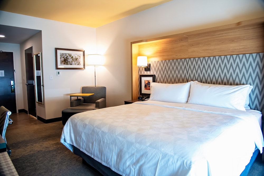 Standard Room, 1 King Bed, Accessible (Communication, Mobility Tub) - Photo 2