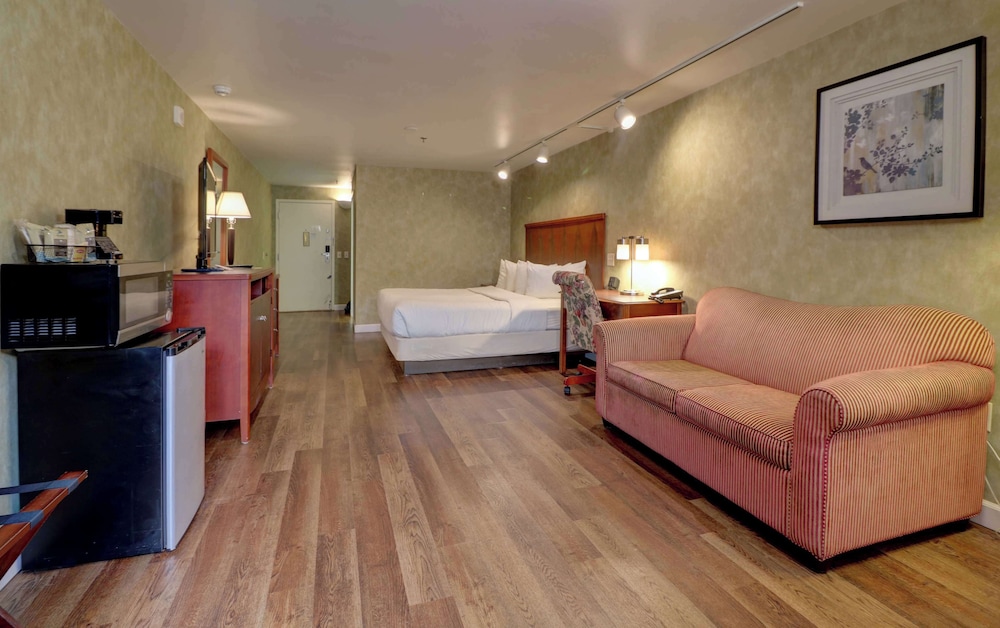 Presidential Room with 1 King Bed Pet-Friendly photo 2