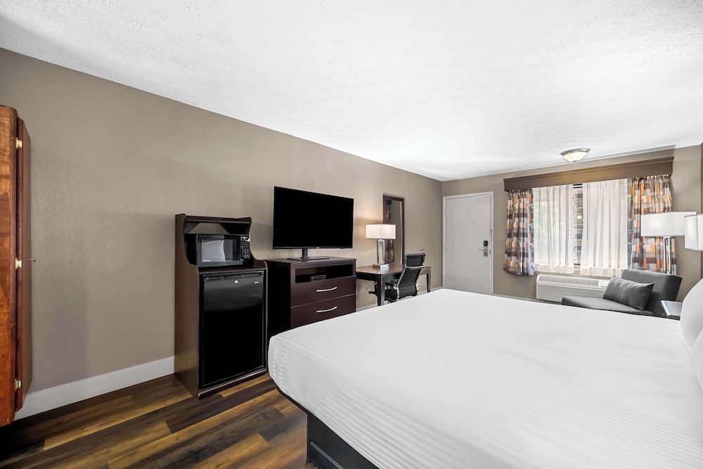 Standard Room, 1 King Bed, Accessible, Non Smoking - Photo 4