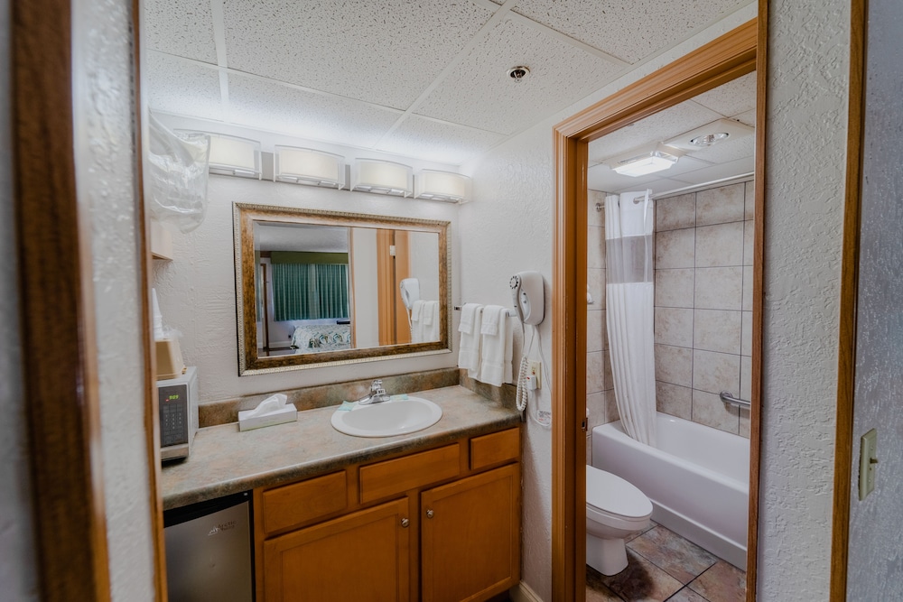 Deluxe Room photo 2