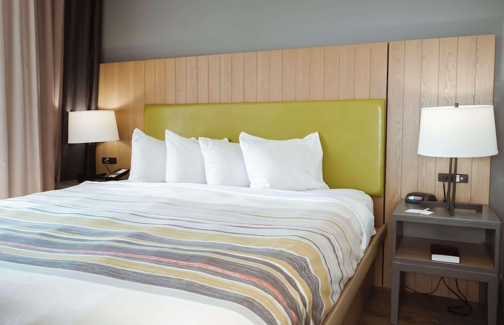 Suite, 1 Bedroom, Non Smoking photo 3
