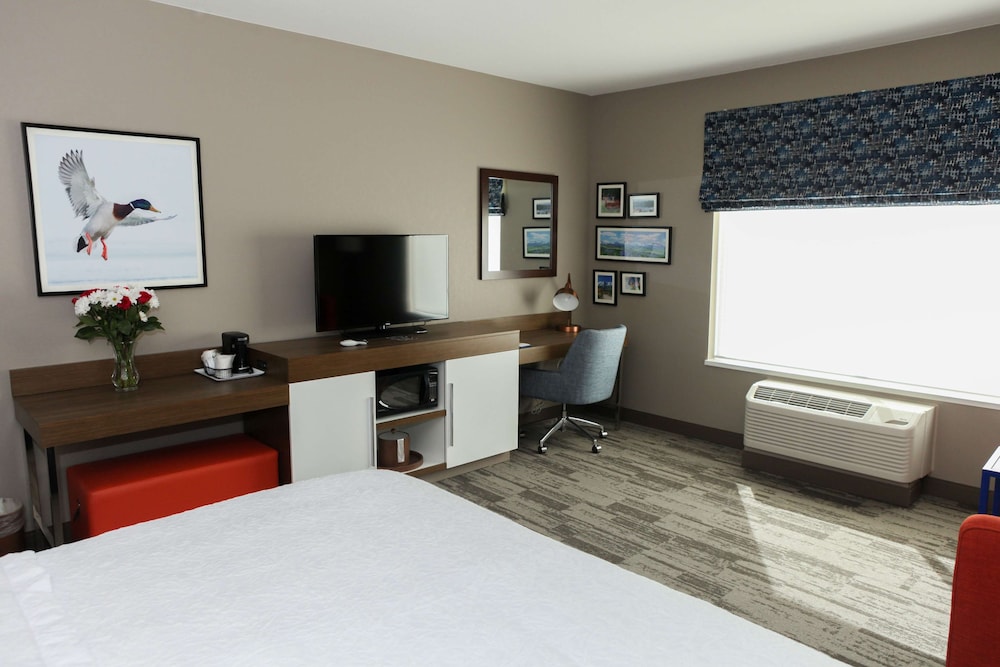 Room, 1 King Bed with Sofa bed, Refrigerator & Microwave photo 2