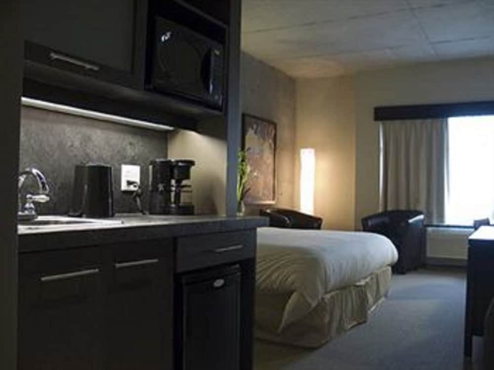 Executive Single Room, 1 King Bed - Photo 5
