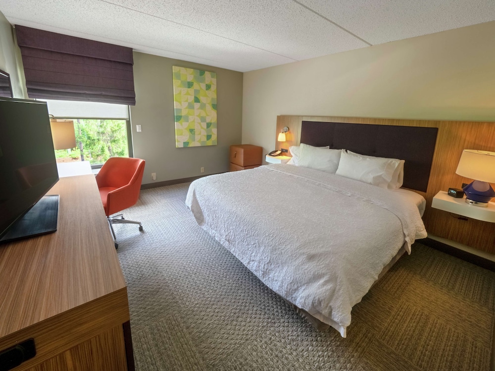 Room, 1 King Bed, Accessible - Photo 1