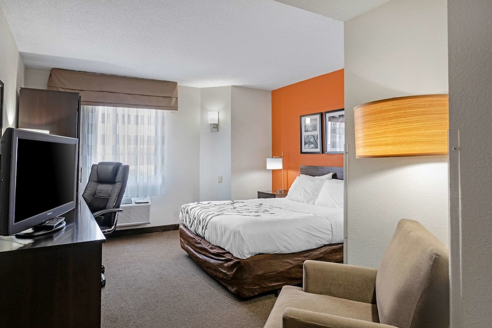 Standard Room, 1 King Bed, Non Smoking - Photo 6