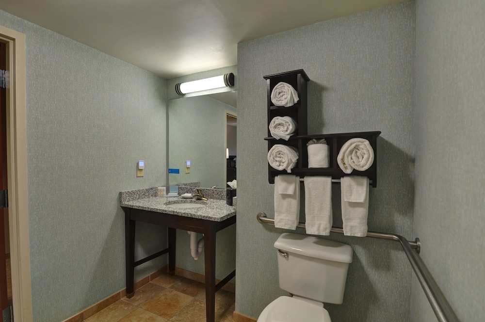 Room, 1 King Bed, Accessible - Photo 6