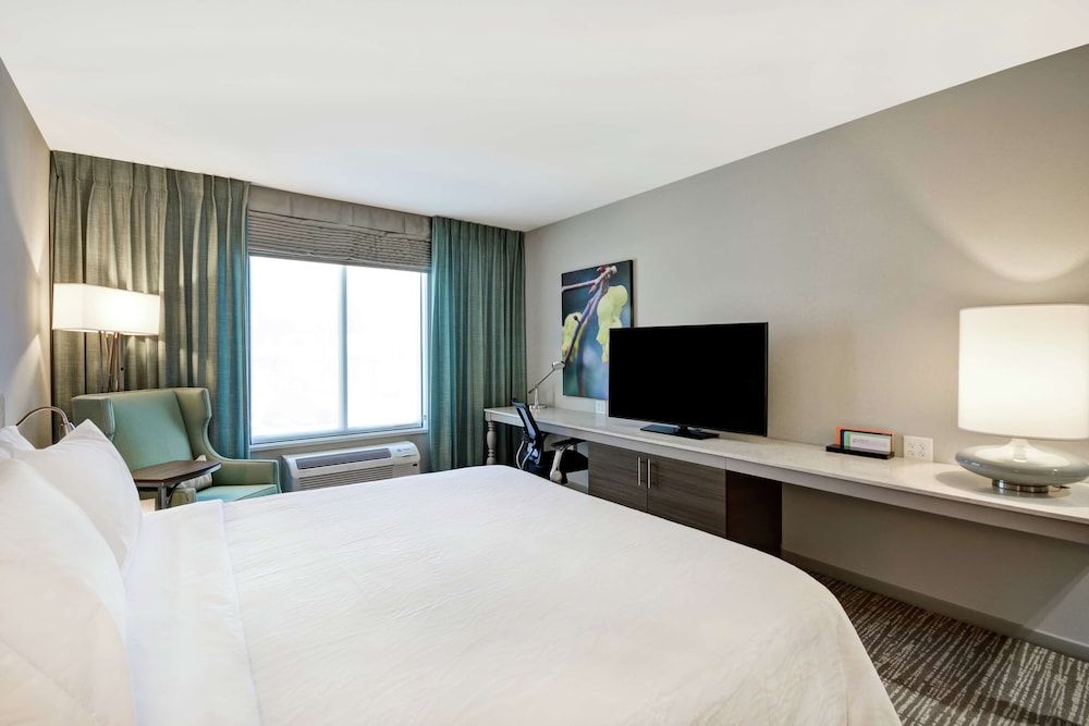 Room, 1 King Bed, Accessible (Roll-In Shower) photo 3