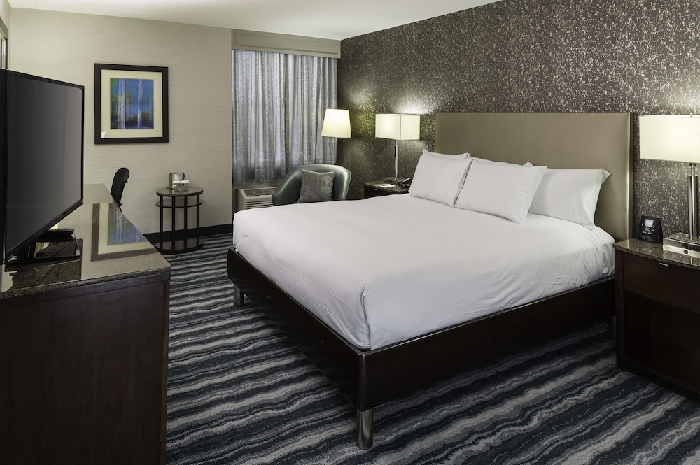 Premium Suite, 1 King Bed, Non Smoking photo 1