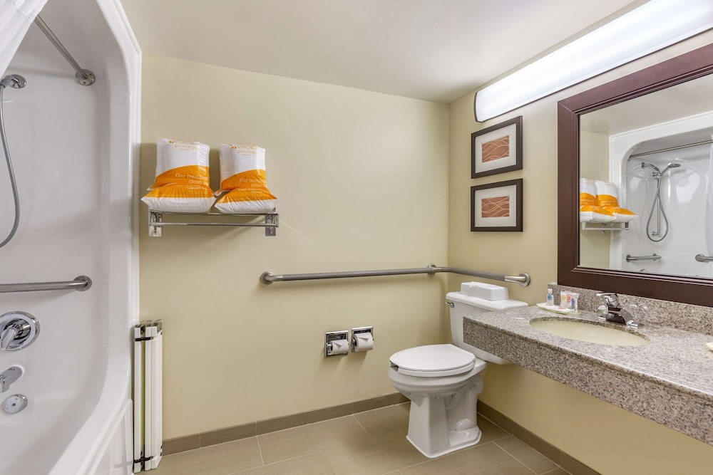 Room, 1 King Bed, Accessible, Non Smoking (Roll-ln Shower) - Photo 4