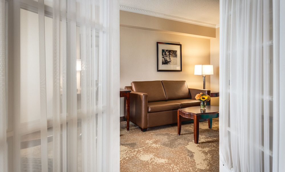Deluxe King Suite with Jetted Tub-Separate Living Room - Photo 9
