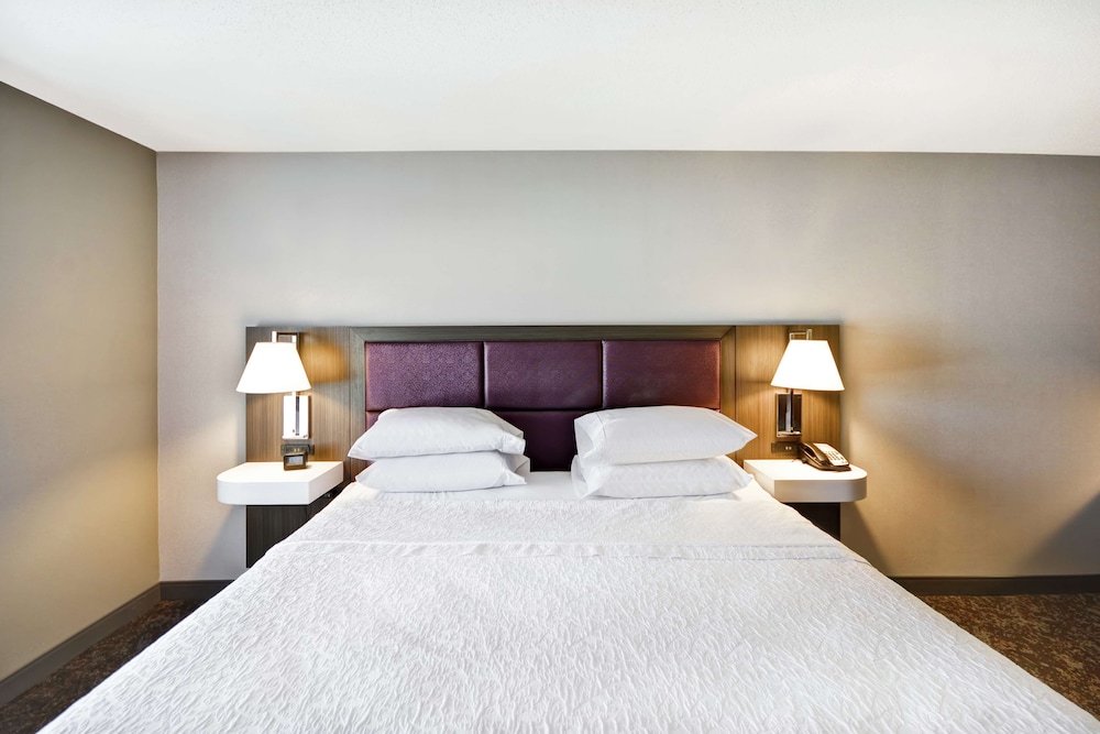 Room, 1 King Bed, Accessible, Bathtub (Mobility) photo 1
