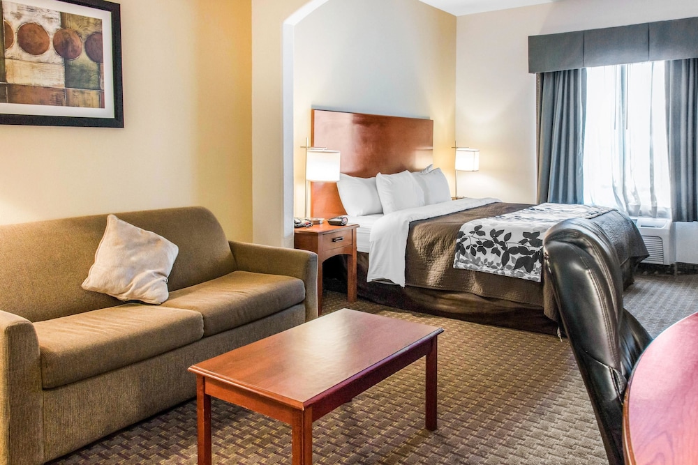 Suite, 1 King Bed, Non Smoking - Photo 1