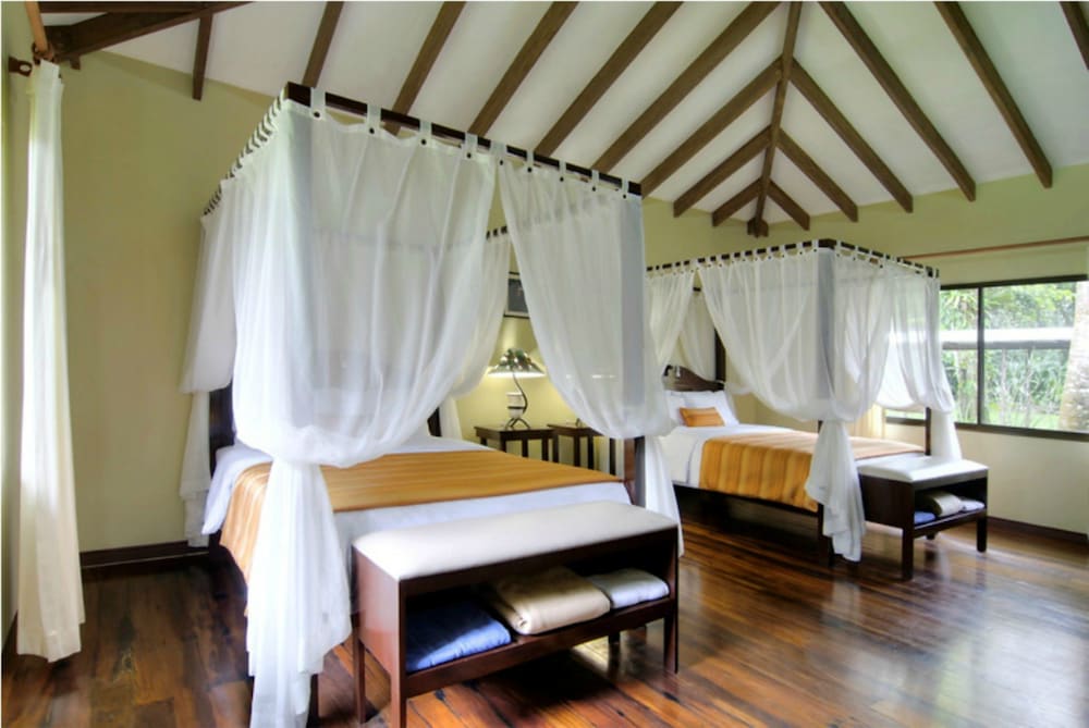 Deluxe Room, 2 Queen Beds photo 3