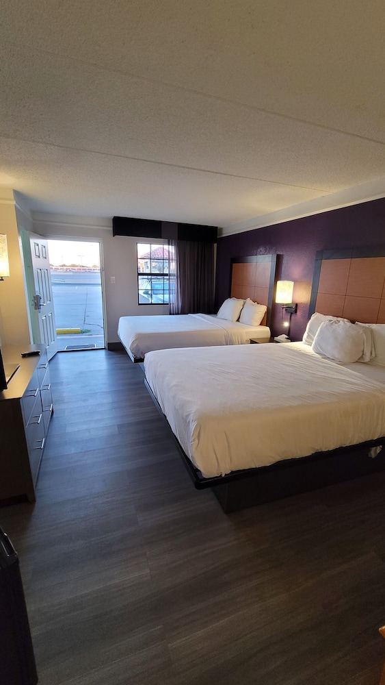 Standard 2 Queen Beds photo 3